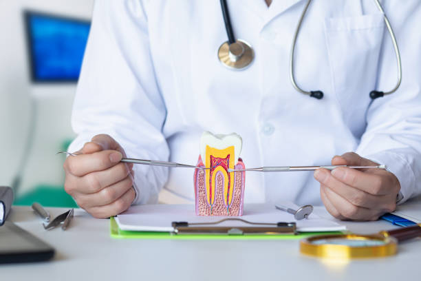 Best Emergency Dental Services for Seniors in Louisville, NE